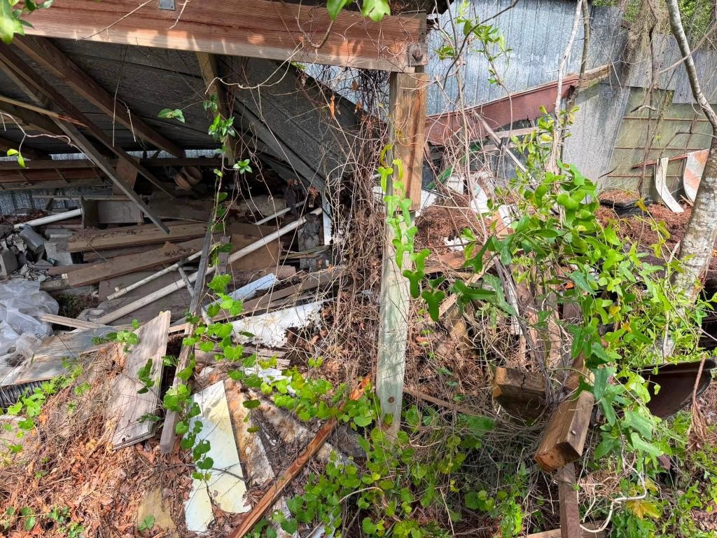 Structure Demolition and removal